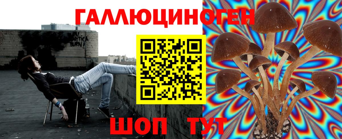 Галлюциногенные грибы MAGIC MUSHROOMS Димитровград