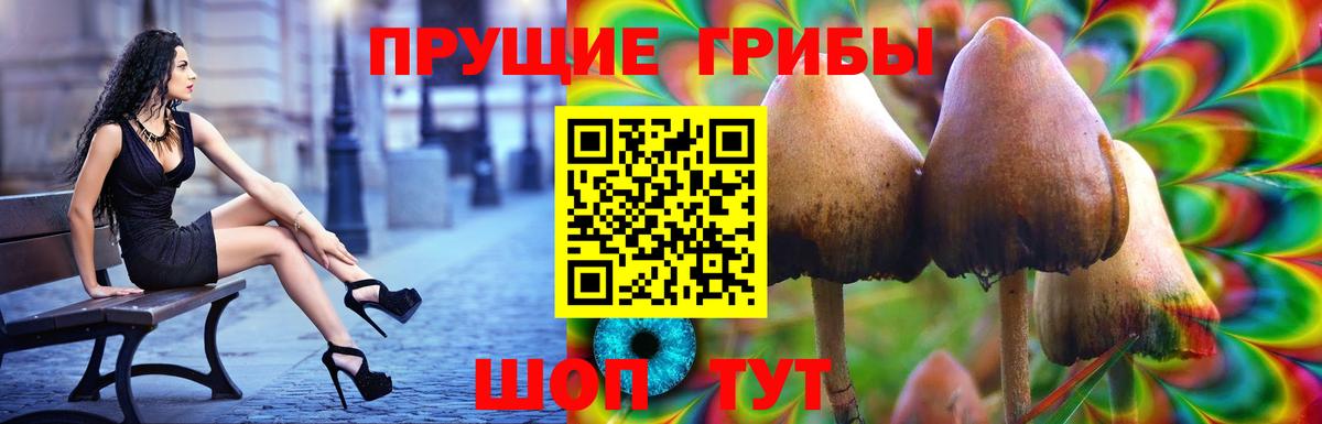 закладки  Галлюциногенные грибы Magic Shrooms  Вход с VPN  Димитровград 